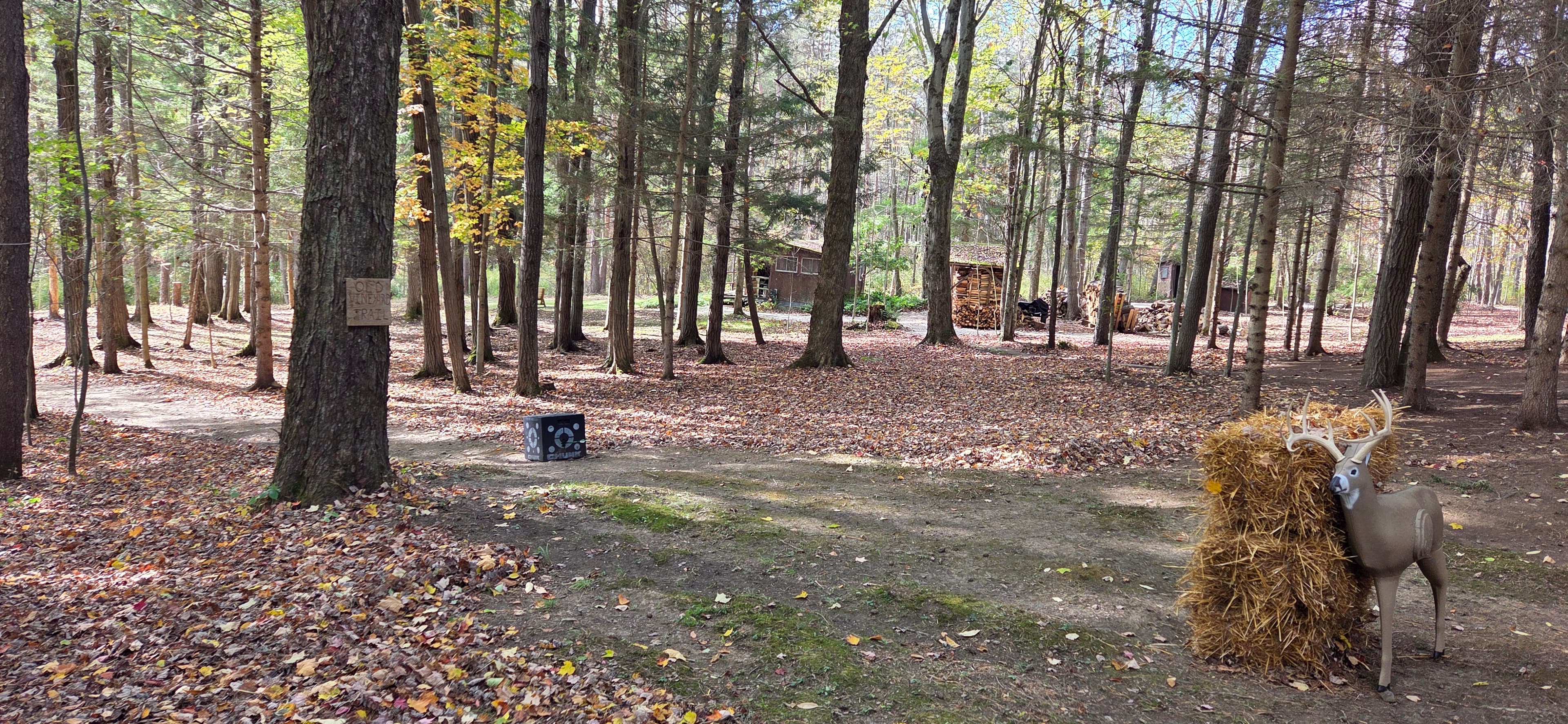 The archery range in the autumn woods, a foam deer target standing beside hay bales near the trail
